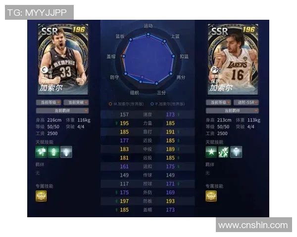 马克加索尔：从篮球巨星到社会公益先锋的传奇人生之路