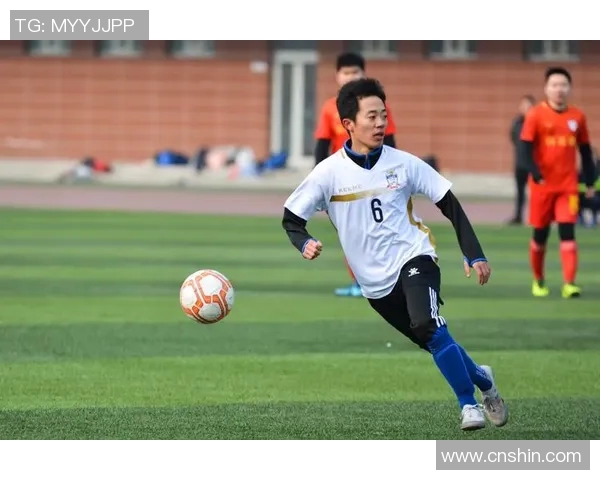 清新区体育馆精彩足球比赛直播全程回顾与精彩瞬间分享